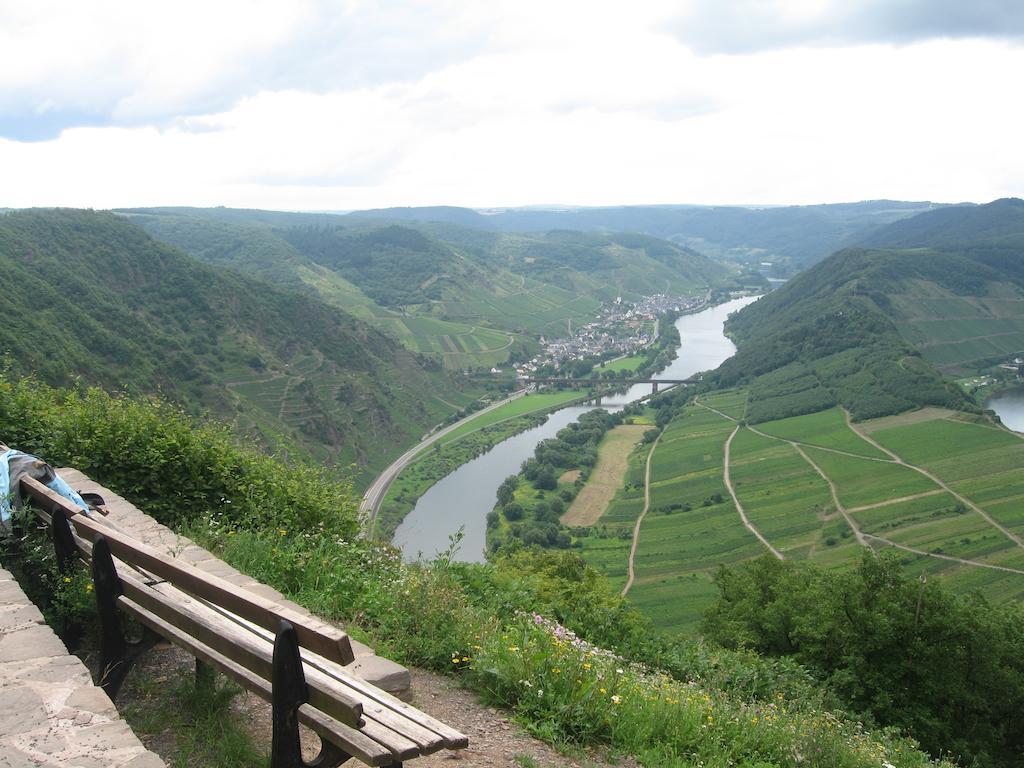 Haus Anna Villa Zell an der Mosel Exterior photo